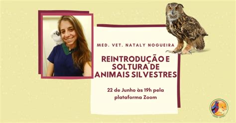 Geas Ufmg Reintrodu O E Soltura De Animais Silvestres Online Sympla