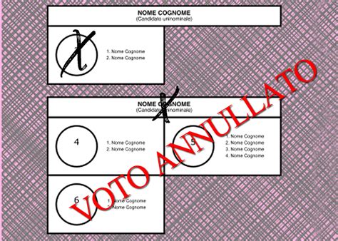 Elezioni Come Si Vota Ecco Le Schede Elettorali Degli Urbinati