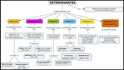 Tipos De Determinantes Adjetivos Determinativos Adjetivos Apuntes De Lengua