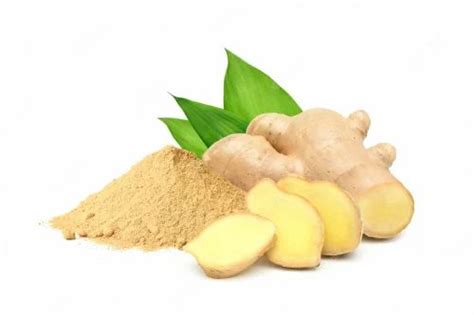 Dried Ginger Zingiber Officinale Sunth Soonth Sonthi Sunthi Powder At Rs 250kg