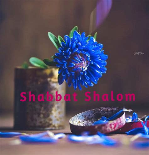 Shabbat Shalom 16 Septembre 2022 Michelle Dastier De La Vigerie