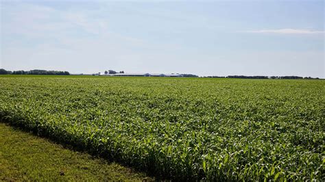 Farmers Encouraged To Apply For Innovation Grants Minnesota Corn