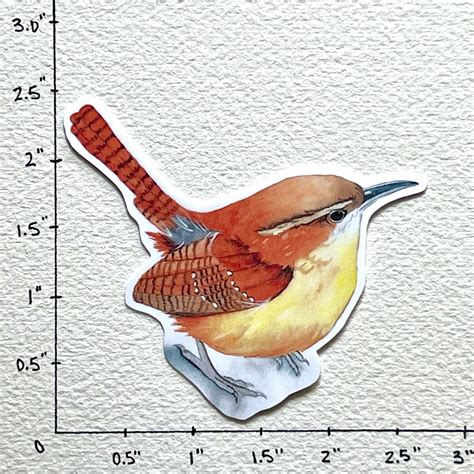 Carolina Wren Watercolor Sticker Small Songbird Vinyl Decal Laminated