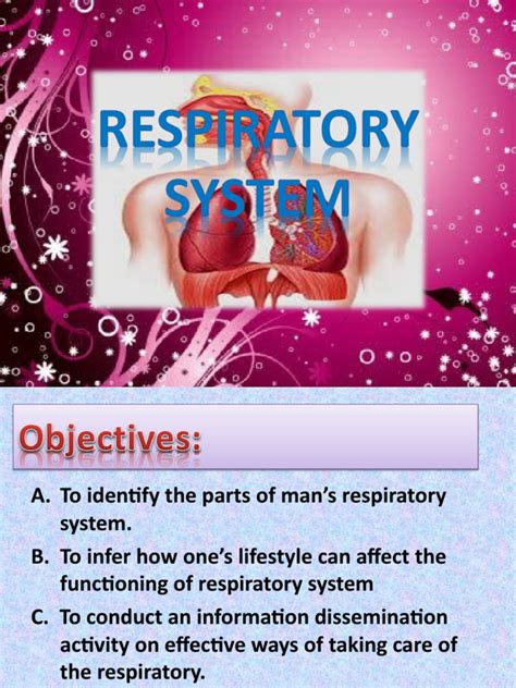 Science Grade 9 Pdf Respiratory System Lung