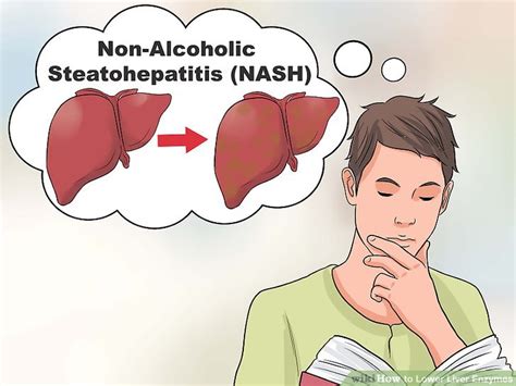 3 Ways to Lower Liver Enzymes - wikiHow