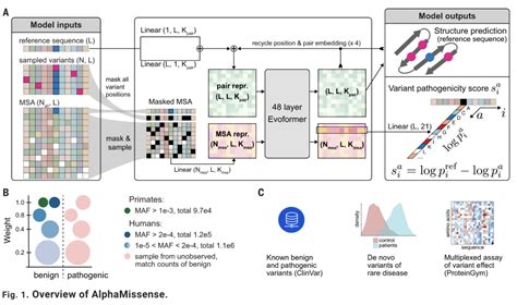 Google Deepmind Releases Alphafold Powered Alphamissense Ai Digitalnews