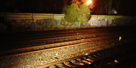 Baum St Rzt Im Sturm Auf Oberleitung Bahnstrecke In Castrop Rauxel