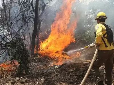 Advierten Que El Riesgo De Incendios Forestales Es Muy Alto Este Fin De