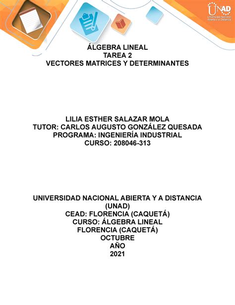 Lgebra Lineal Lilia Salazar Tarea Vectores Matrices Y Determinantes