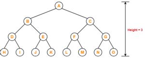 Binary Tree | Binary Tree Properties | Gate Vidyalay