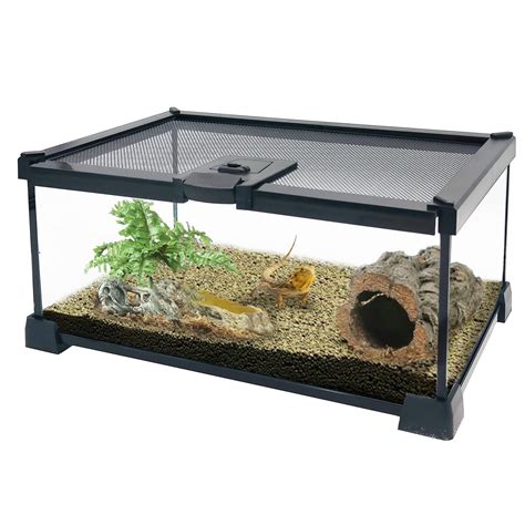 Buy Pinvnby Mini Reptile Glass Terrarium Tank X X Micro Habitat