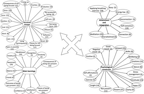 Final Code Map Of The Thematic Analysis Download Scientific Diagram