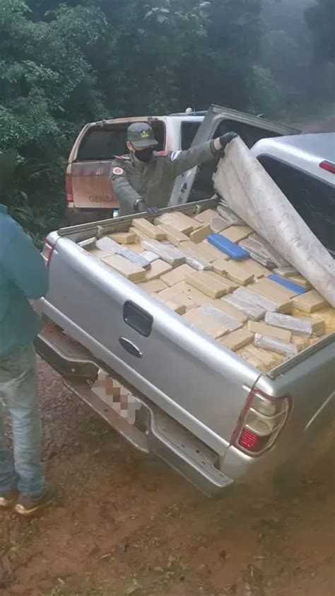 Misiones Incautan Casi Una Tonelada De Marihuana Noticias D Misiones