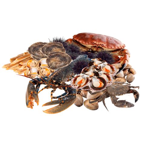 Comprar Mariscada Gallega Pedir Online 100 De Galicia