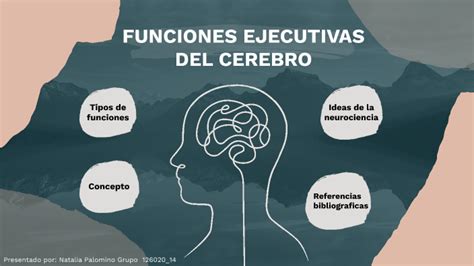 Funciones Ejecutivas Del Cerebro By Natalia Palomino On Prezi