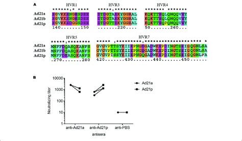 Antigenic Variability Among Hadv Strains A Multiple Sequence