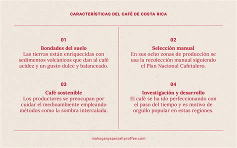 Porqué el café de Costa Rica es uno de los más cotizados del mundo