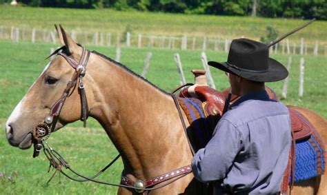 Northstar Livestock