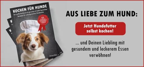 Ulmenrinde F R Hunde Anwendung Dosierung Zubereitung