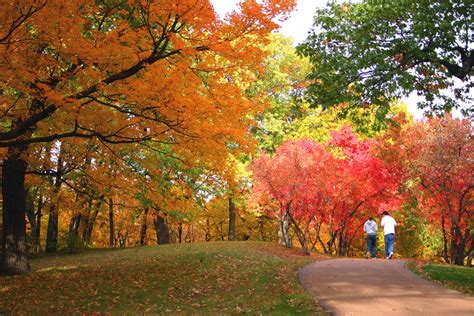 Discover The 5 Best Fall Foliage Destinations In The Midwest Drivin