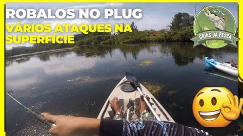 Pescaria de Robalo só no plug pescaria iscasartificiais pesca