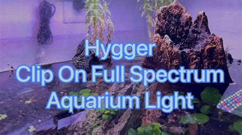 Hygger Clip On Full Spectrum Aquarium Lights YouTube