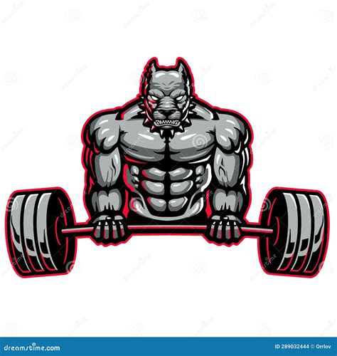 Muscular Bodybuilder Pit Bull Dog With Heavy Barbell Stock Vector