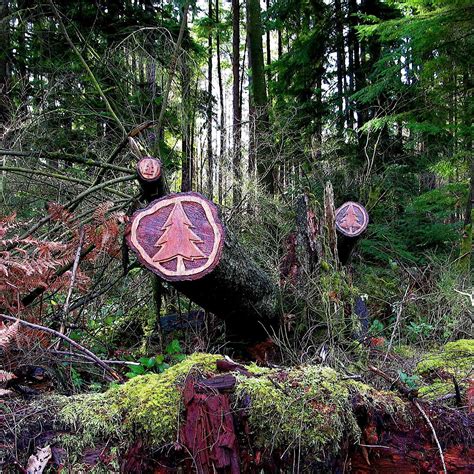 "Forest". Installation as part of the Offerings To The Wind Public Art ...