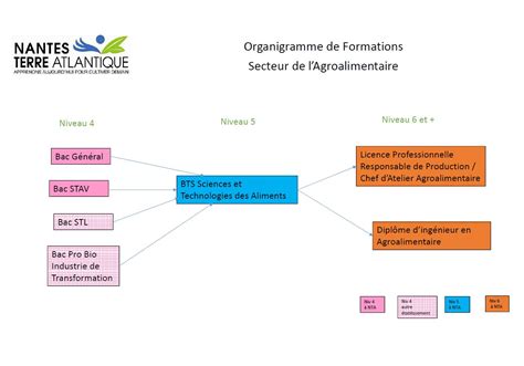 Organigramme Formations IAA 21 Lycée General Et Technologique