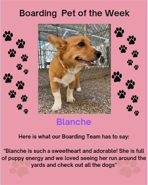 Our Bishop Ranch Veterinary Center And Urgent Care