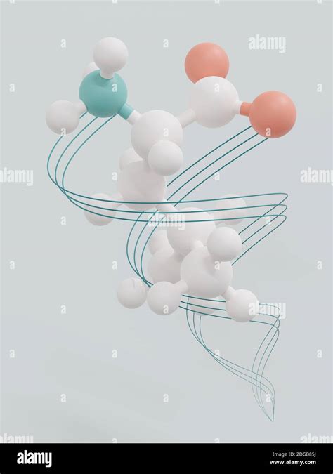 Leucine L Leucine Leu L Amino Acid Molecule 3d Rendering Ball And Stick Molecular Model