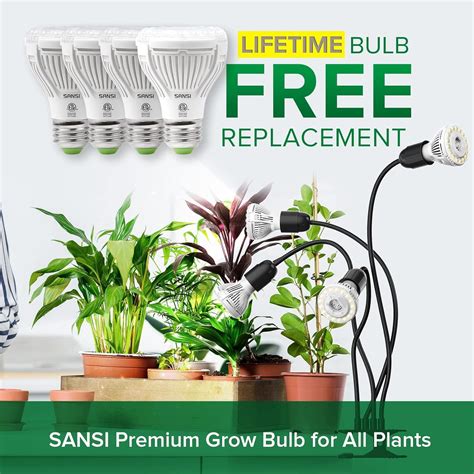 8 Best Indoor Plant Grow Lights Reviews And Analysis Grow Plant Ponics