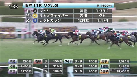 【1212 リゲルsほか】阪神ダイジェスト 競馬予想動画 Netkeiba