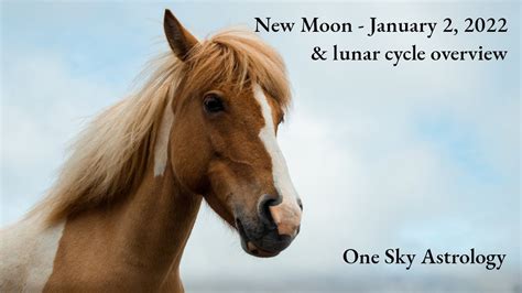 January New Moon Lunar Cycle Overview True Sidereal