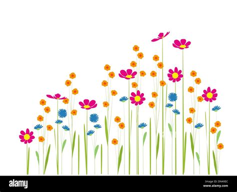 Flowers Stock Vector Images Alamy