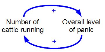 Positive Feedback Loop Diagram