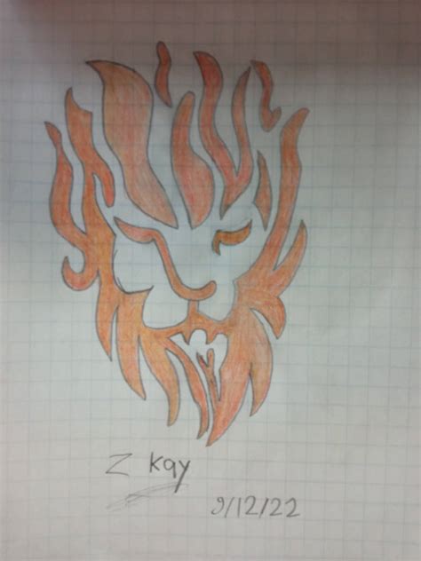 Lion fire by DIEGOZkay on DeviantArt