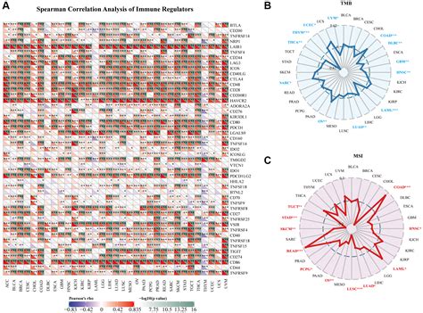 Allograft Inflammatory Factor 1 Is A Potential Diagnostic