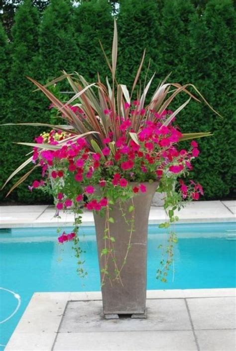 40beautiful Plants Grow Beside Swimming Pool Ideas With Images