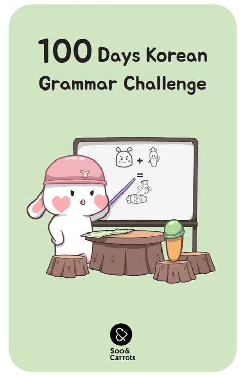 100 Days Korean Grammar Challenge By Soo Kim журналыкнигикорязык