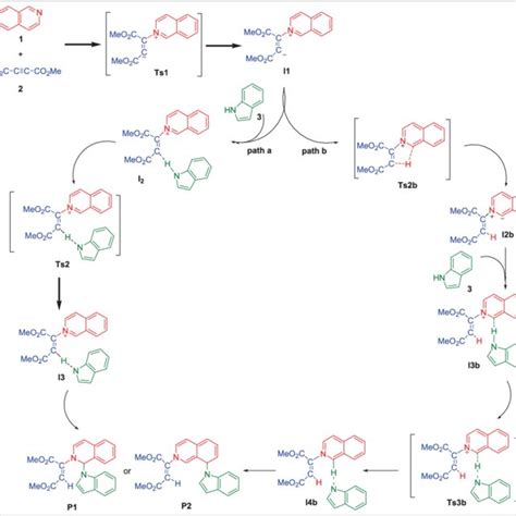 The Reaction Among Isoquinoline Dimethyl Acetylenedicarboxylate