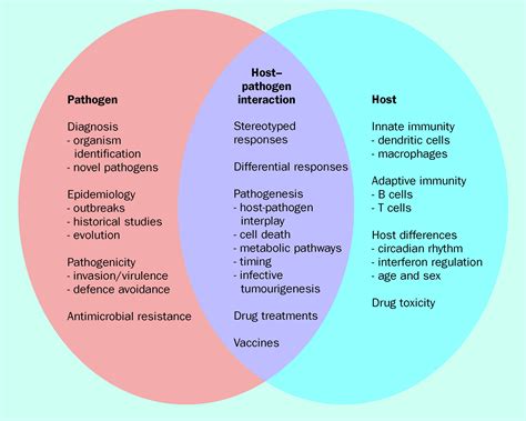 Bacteria And Virus Venn Diagram - exatin.info