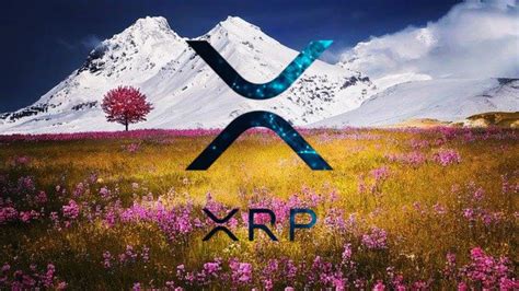 Ripple XRP Nouvelles Jack Ma Alibaba Introduction Bourse Judy