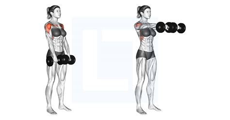 Cable Y Raise - Guide, Benefits, and Form