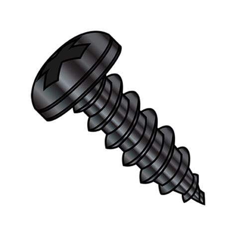 Zoro Select Sheet Metal Screw X In Black Oxide Stainless