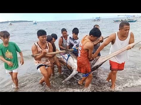 Pinag Tulungan At Pinagkaguluhan Ang Nilalang Na To Sinamay Ng