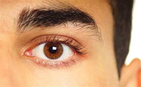 Personas Con Ojos Cafes - Dinami