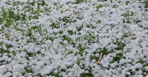 La Grandine Si Abbatte Sulla Pianura In Arrivo Allerta Per Vento