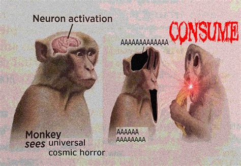 Monkey Sees Universal Cosmic Horror Neuron Activation Know Your Meme