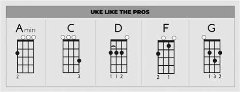 Basic Ukulele Chords Everyone Should Know Ultp Blog